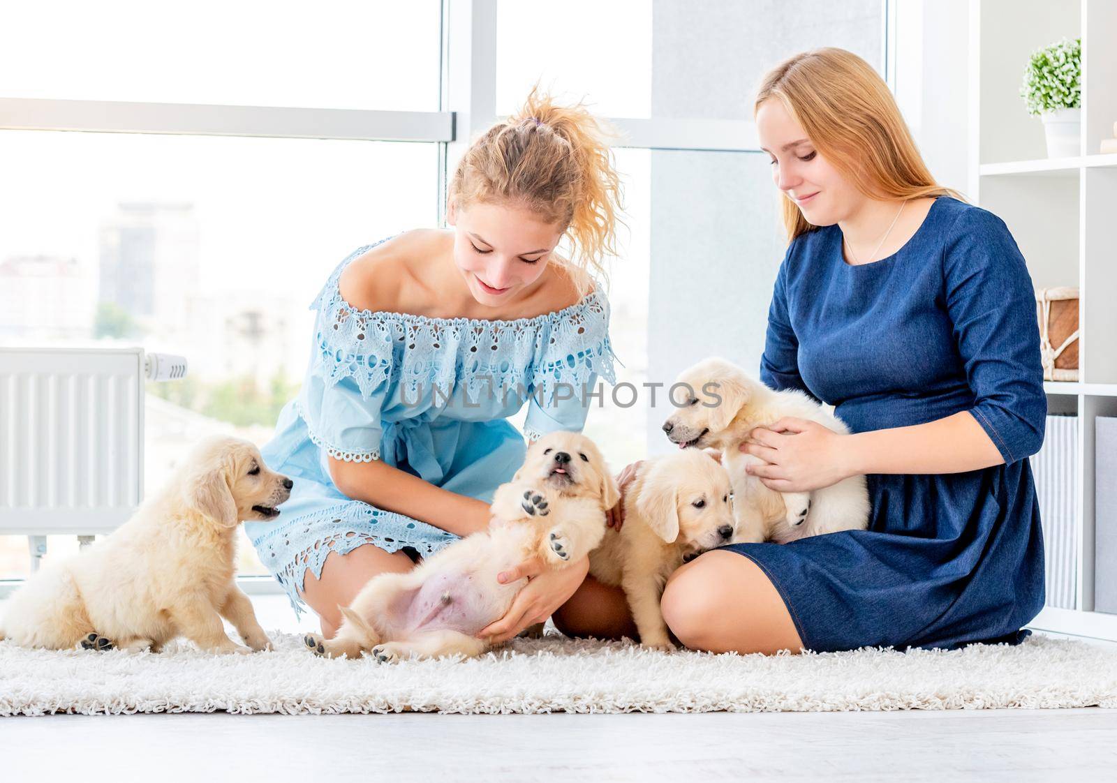Girls play with retriever puppies by tan4ikk1