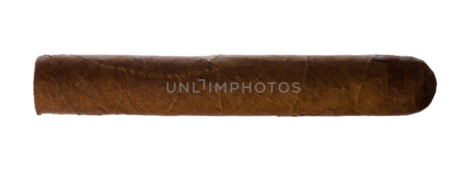 One hand rolled cigar isolated on white by Fabrikasimf