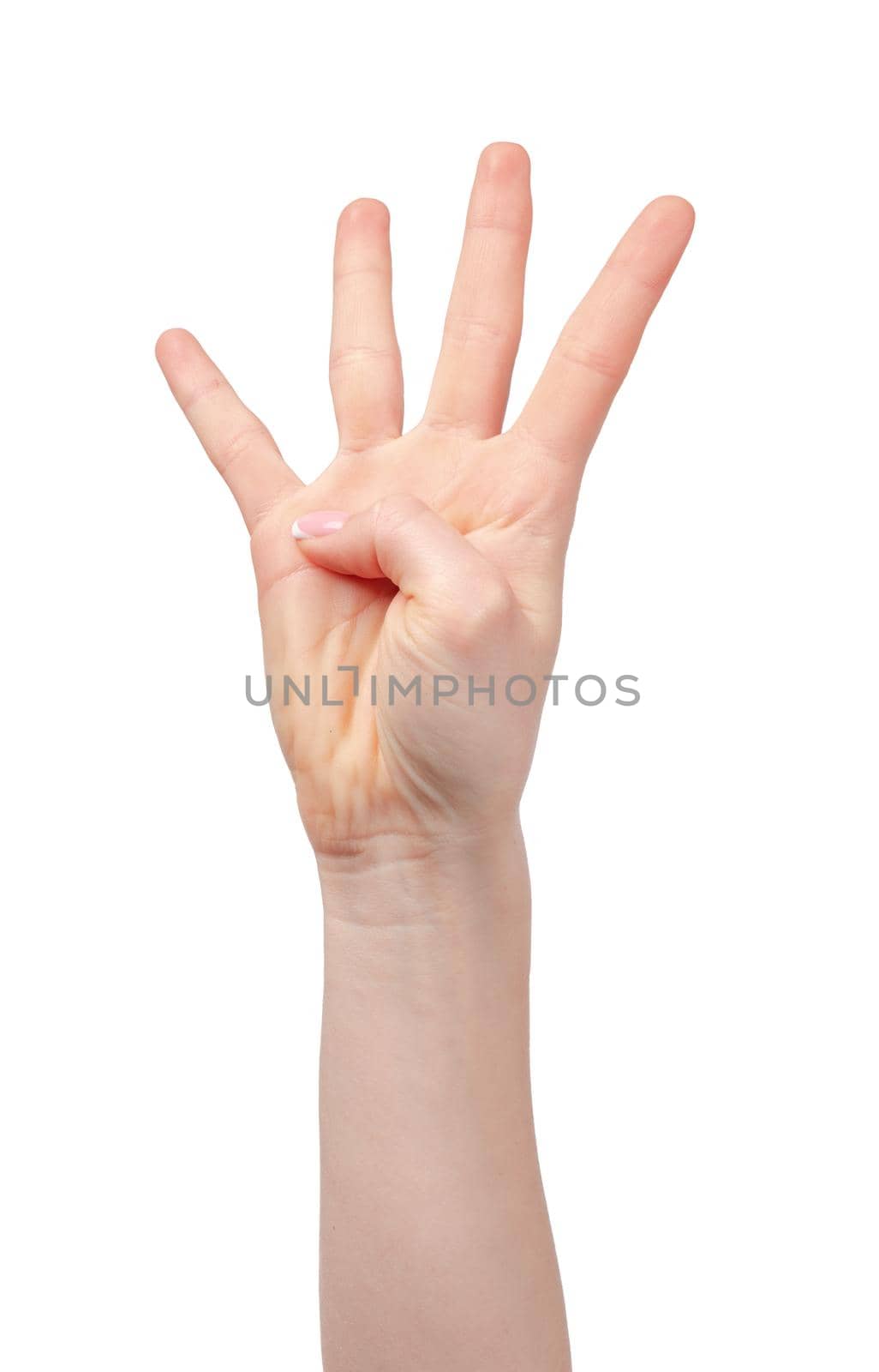 Female hand showing four fingers isolated on white background