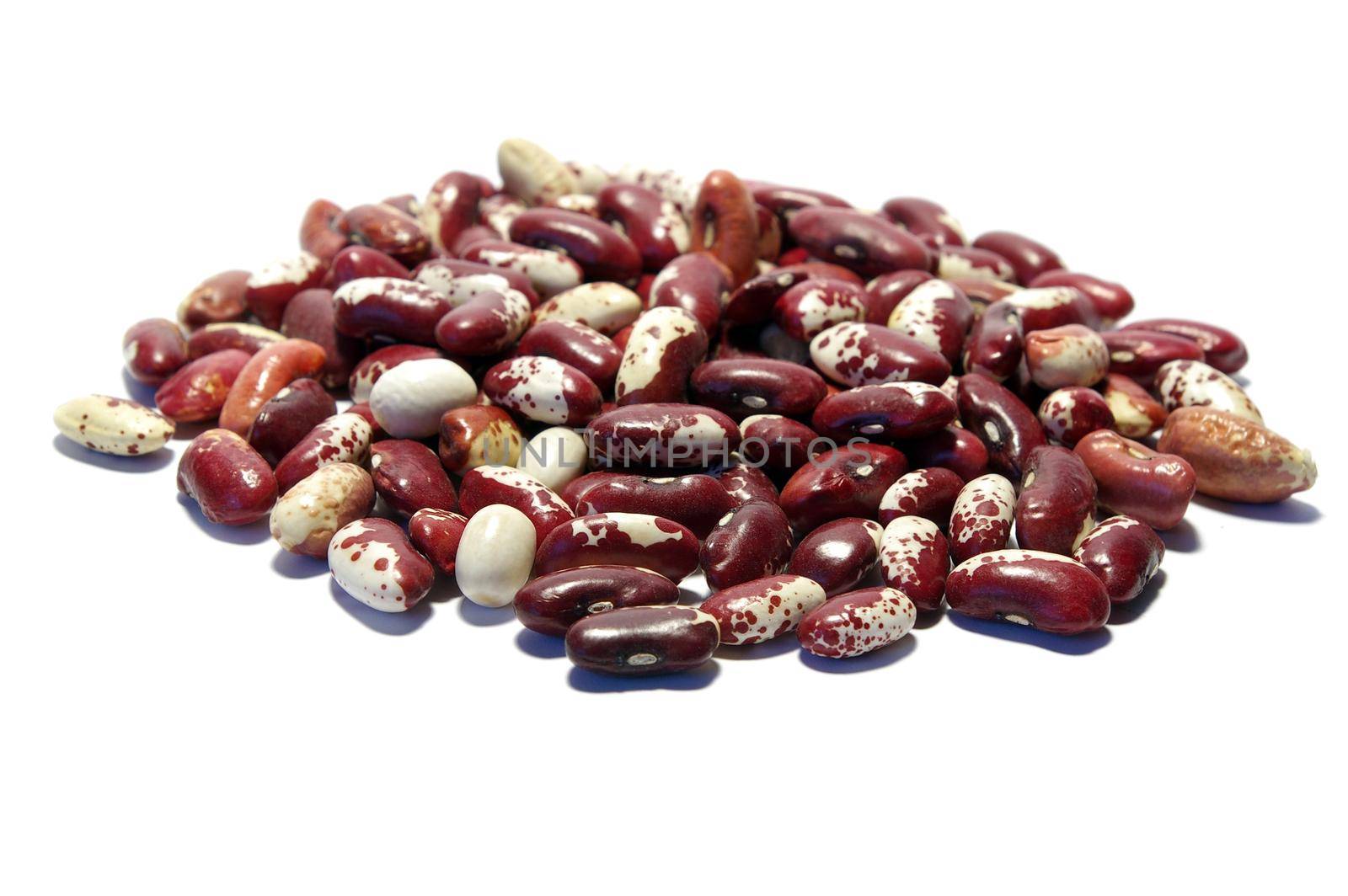 Kidney beans of diferent by tan4ikk1