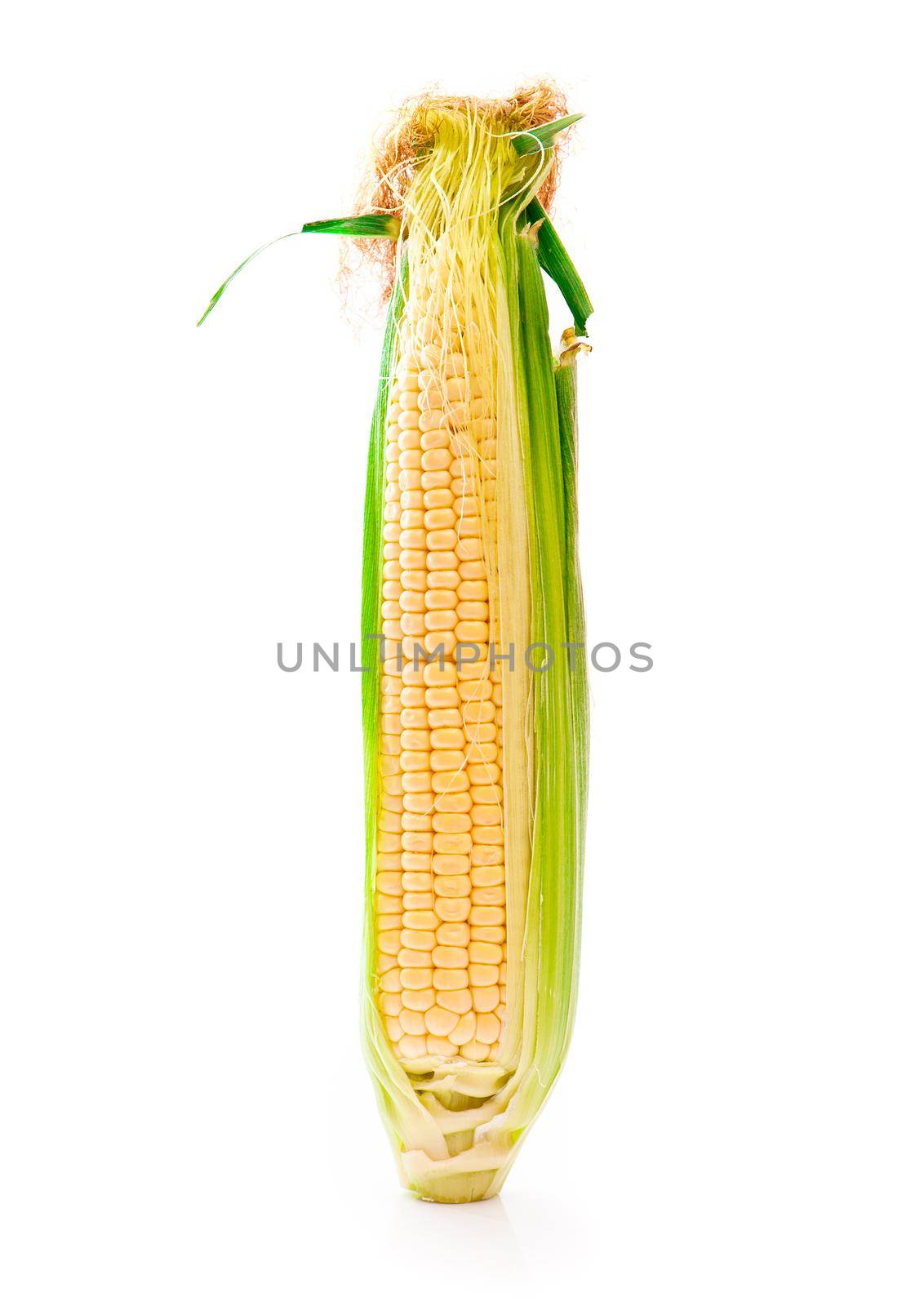 fresh corn vegetable with green leaves isolated on white background