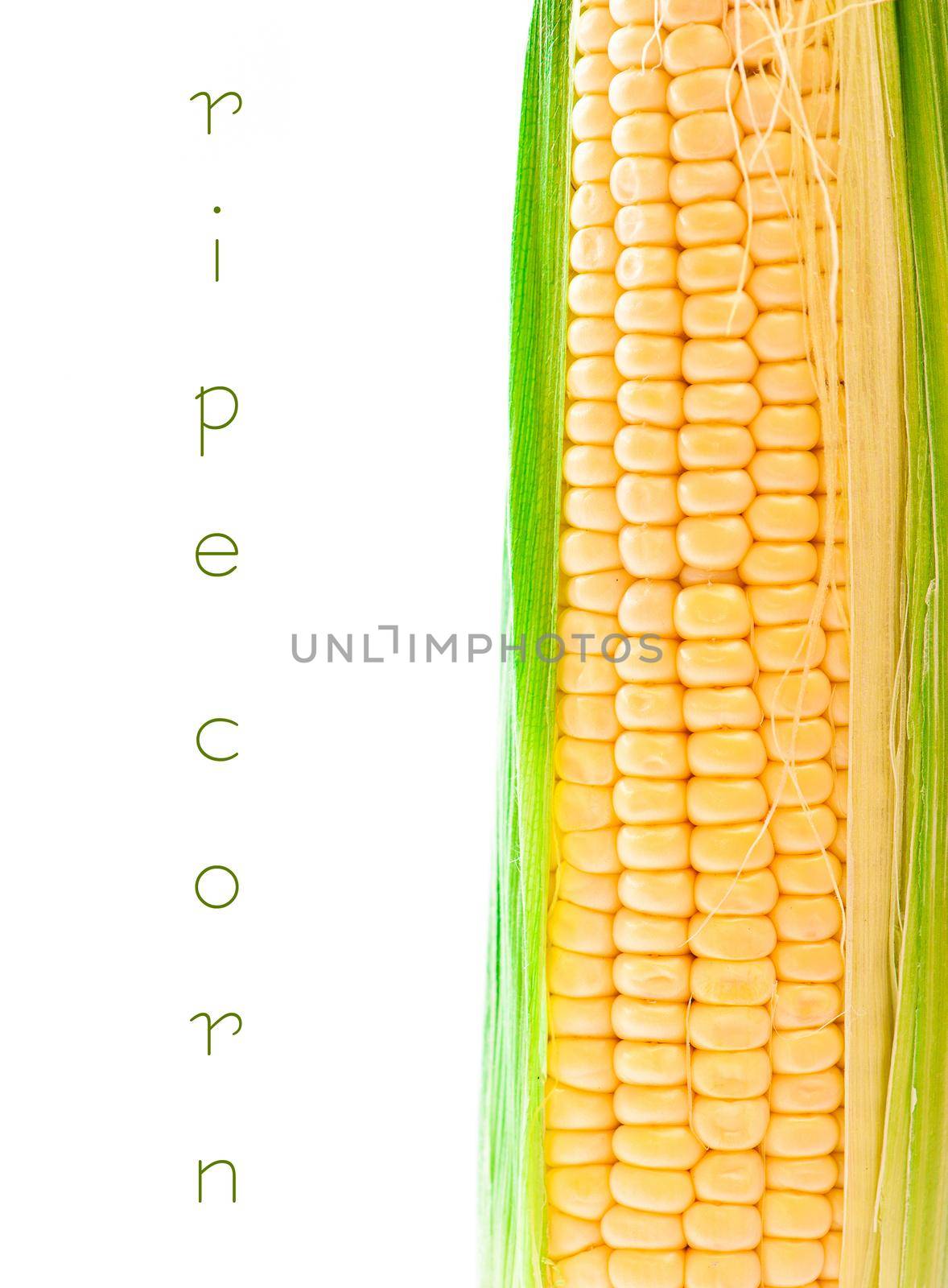 fresh corn vegetable with green leaves isolated on white background