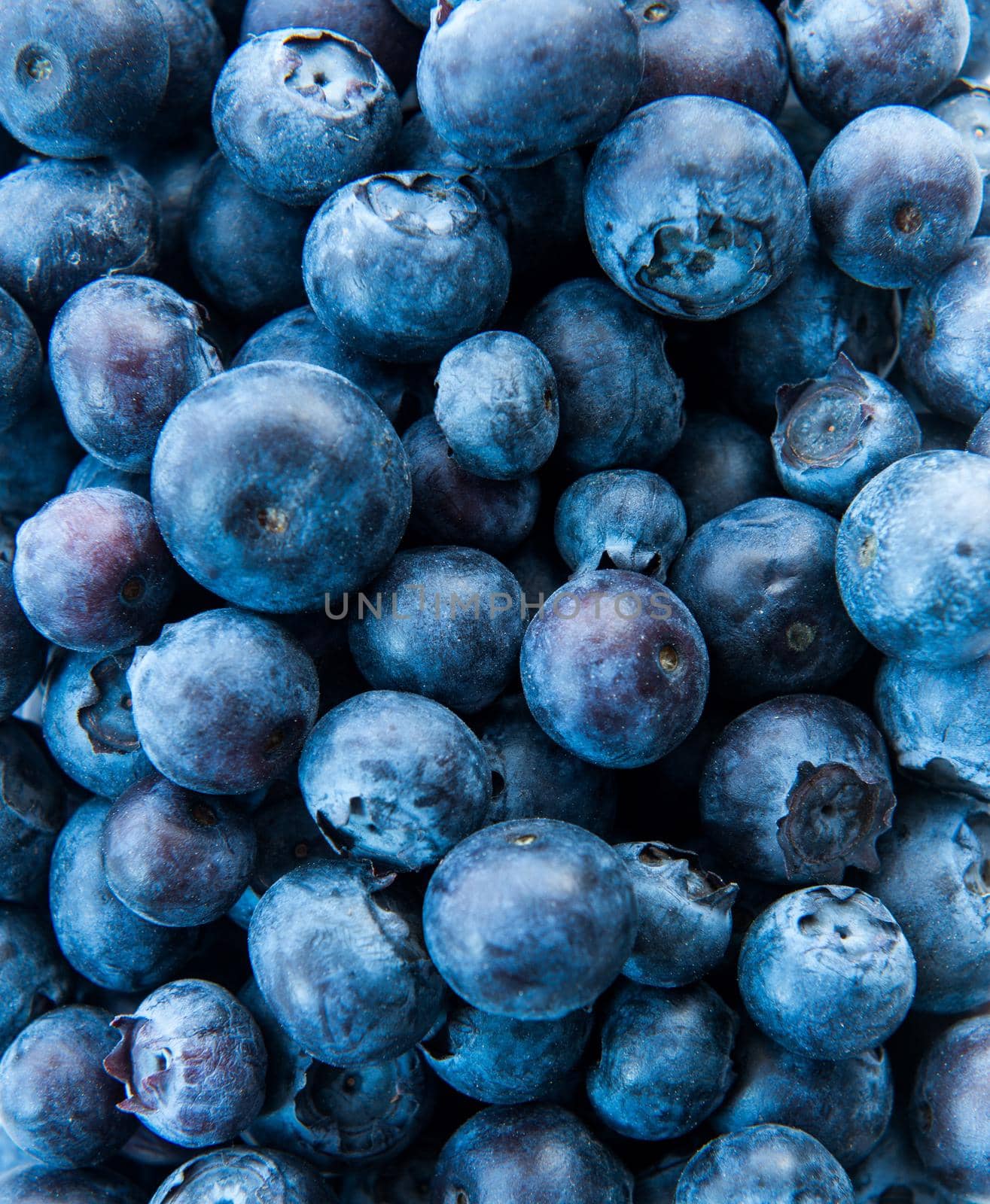 Freshly picked blueberries as background