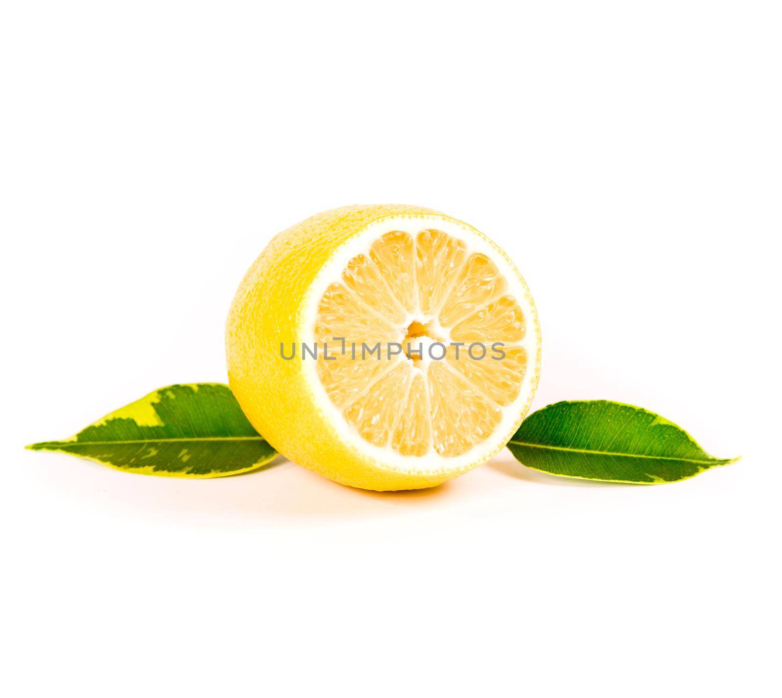 lemon by tan4ikk1