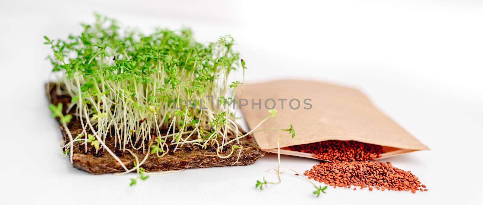 Flax growing microgreens with flaxseeds in paper craft package isolated on white background