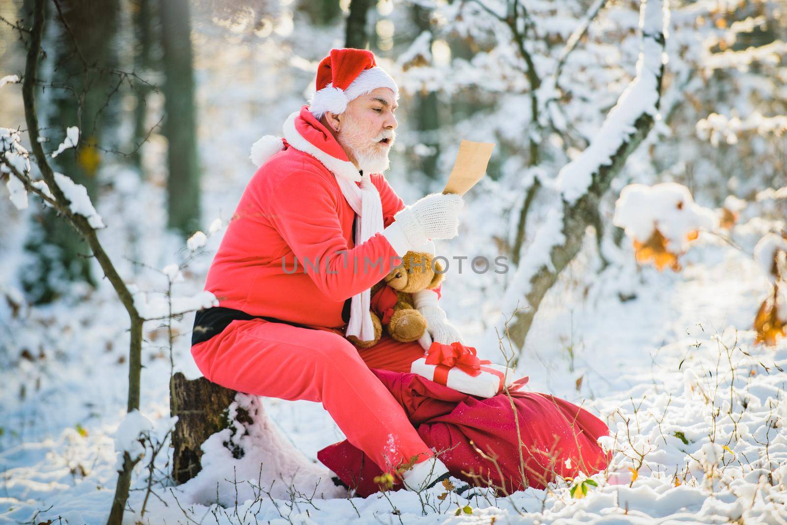 Santa Claus read Christmas wish list outdoor in snowy forest. Happy New Year. by Tverdokhlib