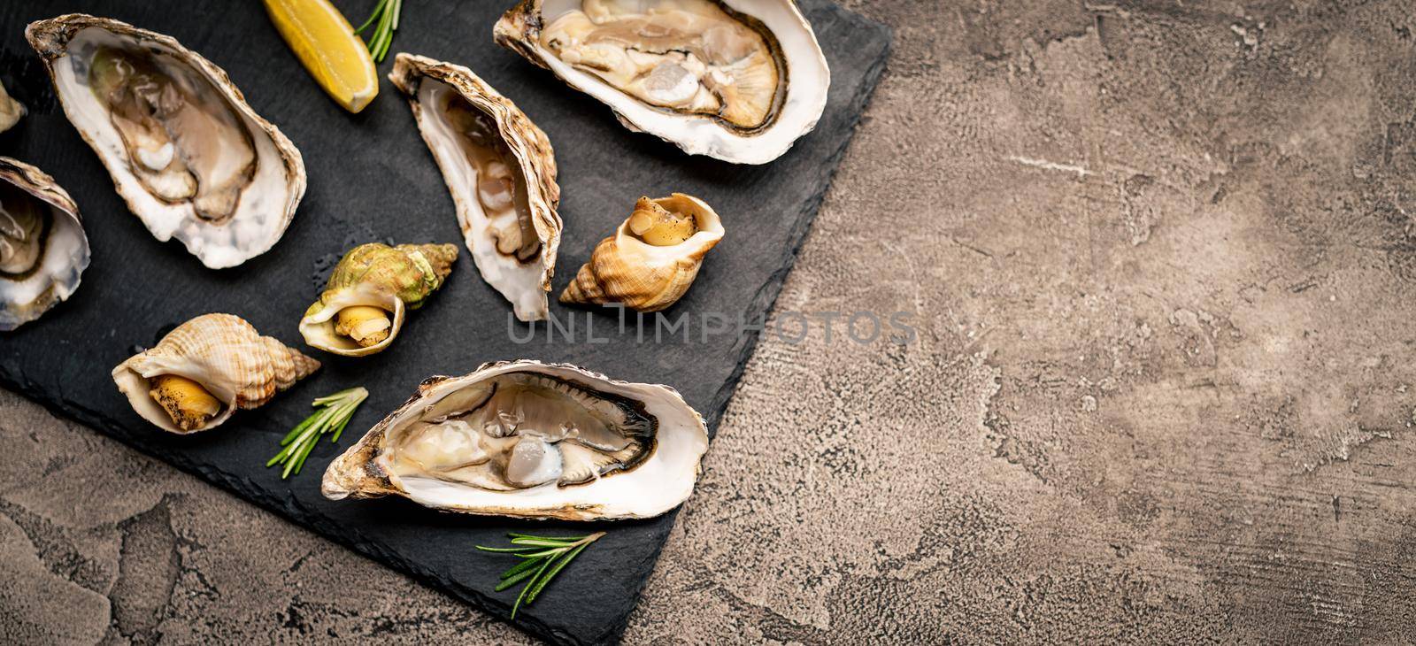 Set of oysters and snails on black platter. Luxury seafood delicatessen served with lemon and rosmarine