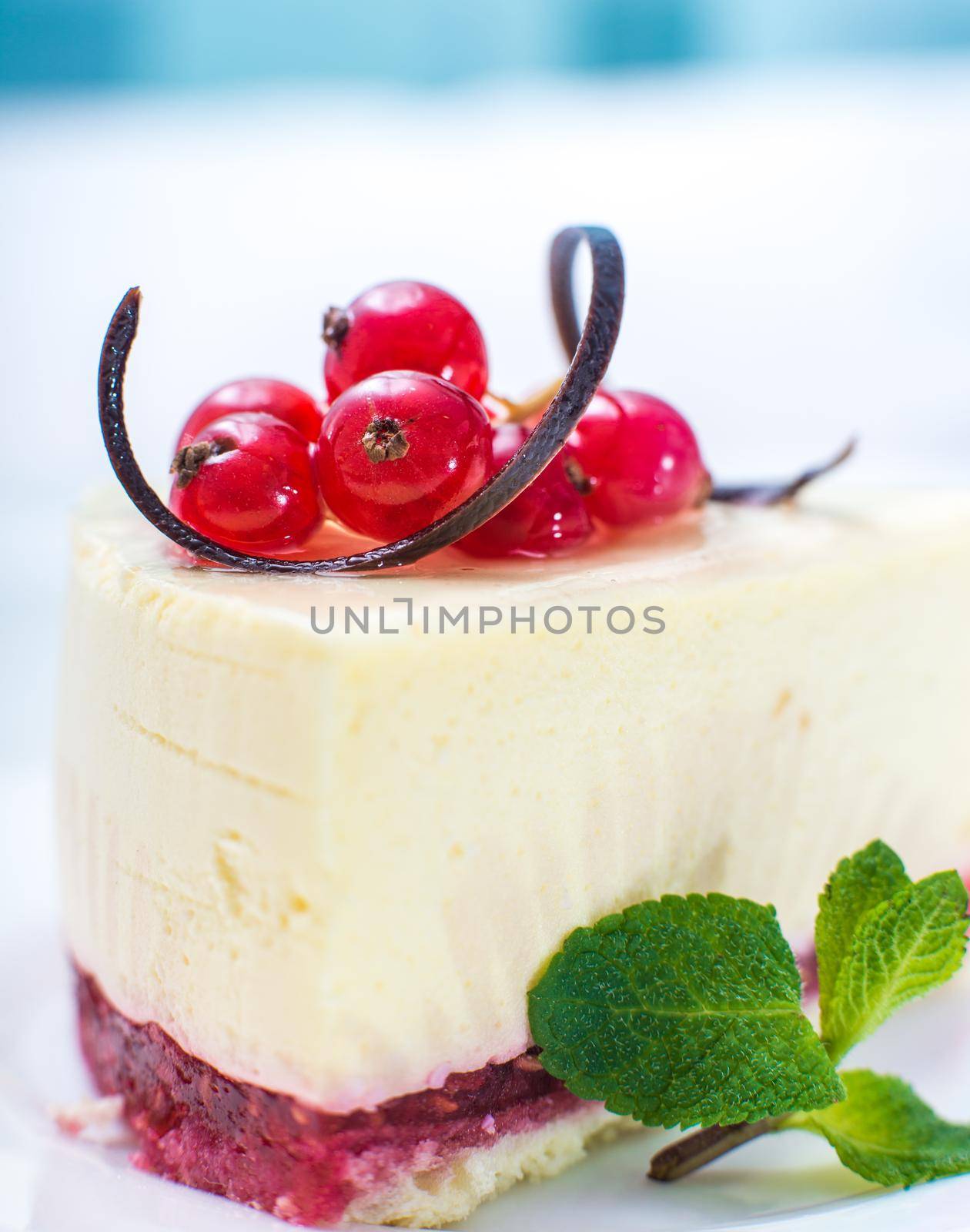 delicious piece of cheesecake decorated with currant