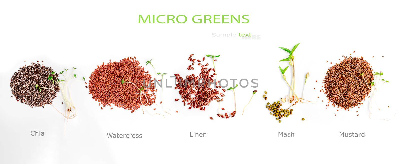 Composition with mush chia mustard and flax seeds with microgreen sprouts isolated on white background