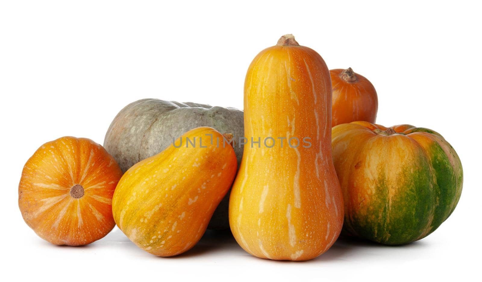 Pumpkins isolated on white background, studio shot close up