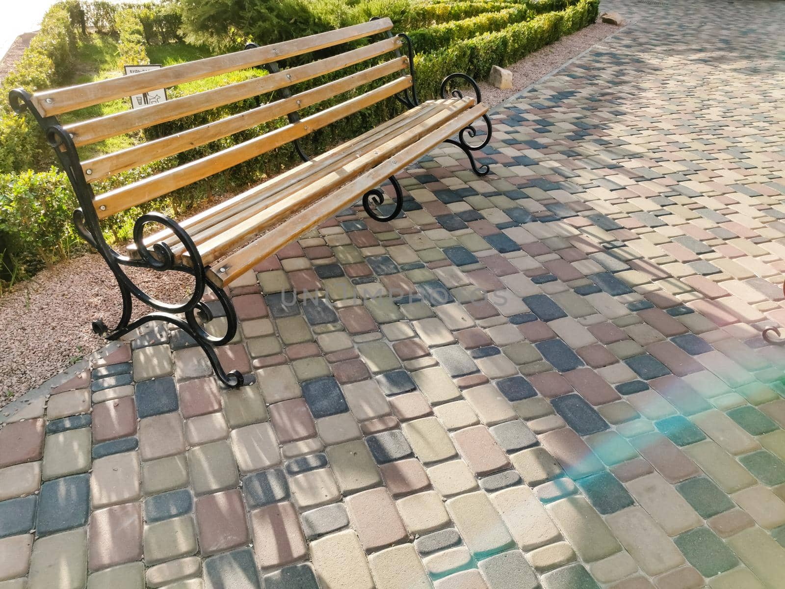 Empty wooden bench in the city park