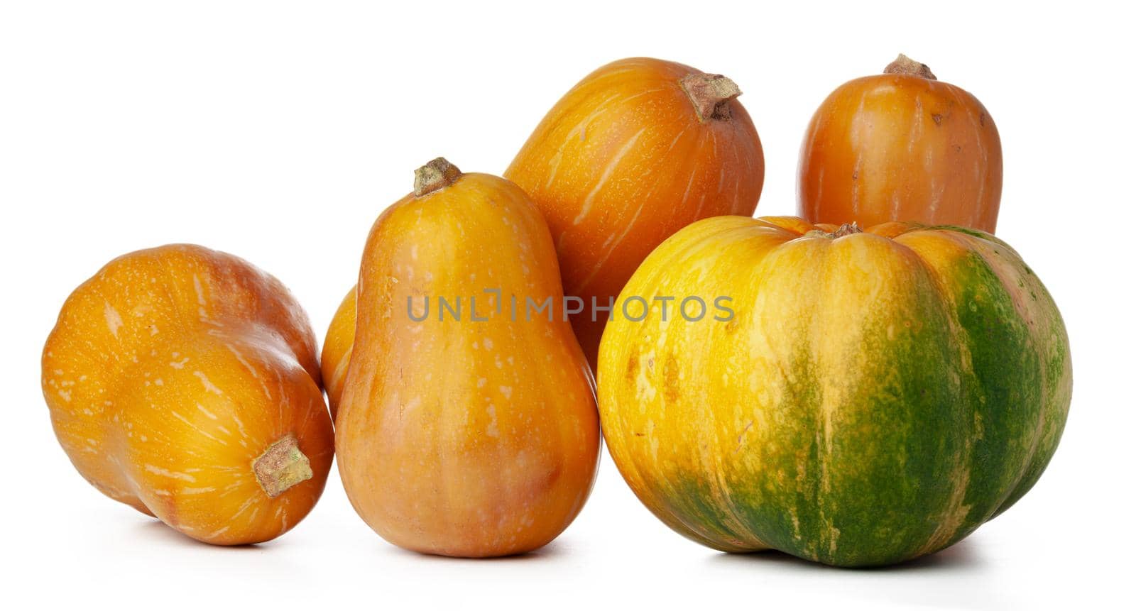 Pumpkins isolated on white background, studio shot close up