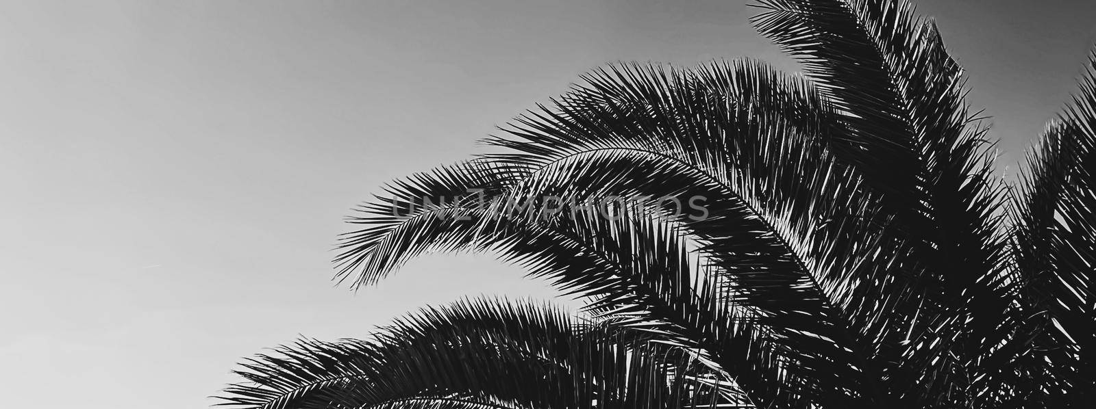 Summer holiday and tropical nature concept. Palm tree in summertime as vintage black and white, monochrome background by Anneleven
