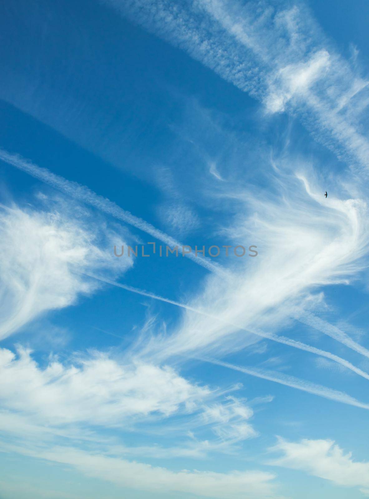 White clouds in a blue sky. Great vertical background