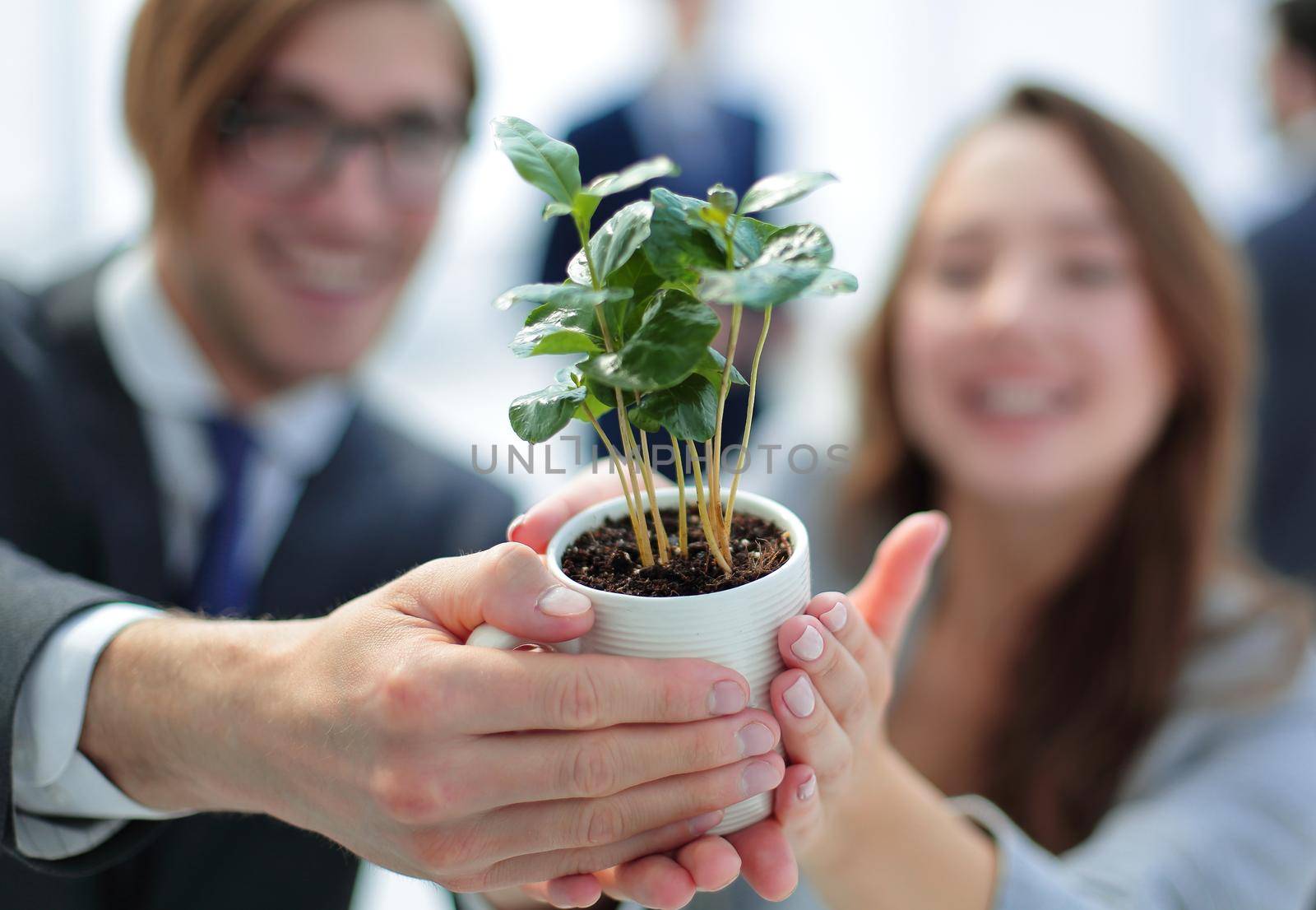 seedling in the hands of young business people .The concept of ecological consciousness