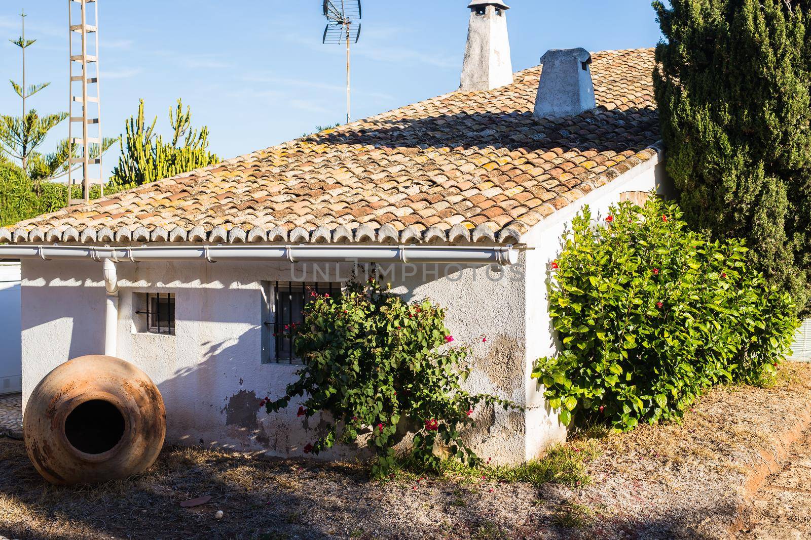 Beautiful exterior of newly built luxury home. Yard with green grass and walkway by Satura86