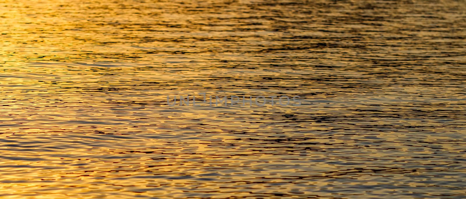 Golden sea waves in sunset glow as surface background. Summer holidays concept by Olayola