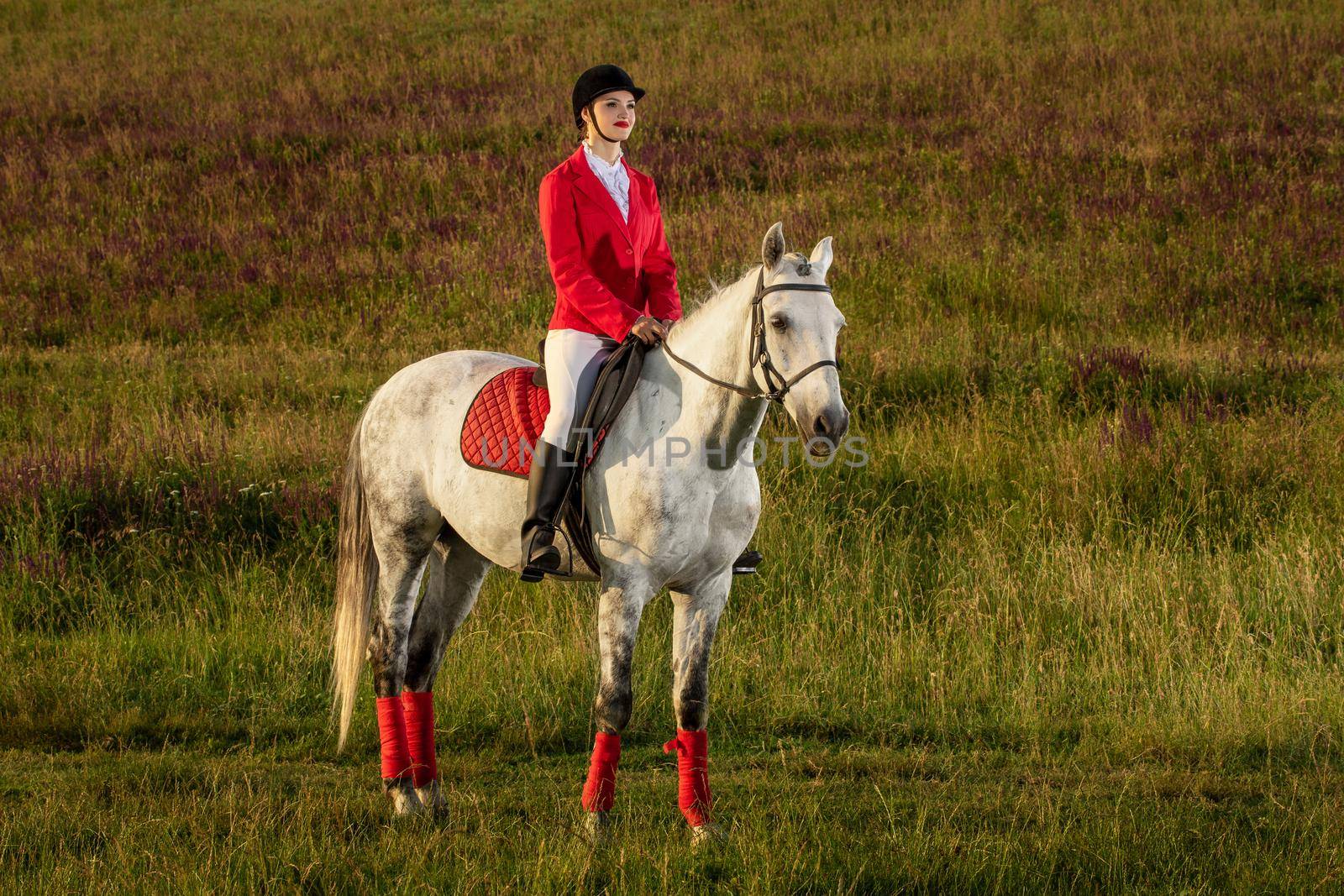 The horsewoman on a red horse. Horse riding. Horse racing. Rider on a horse. by nazarovsergey