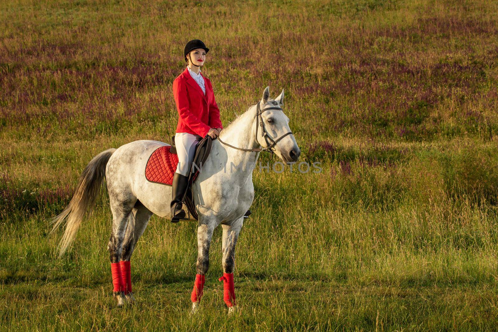 The sportswoman on a horse. The horsewoman on a red horse. Equestrianism. Horse riding racing. Rider on a horse.