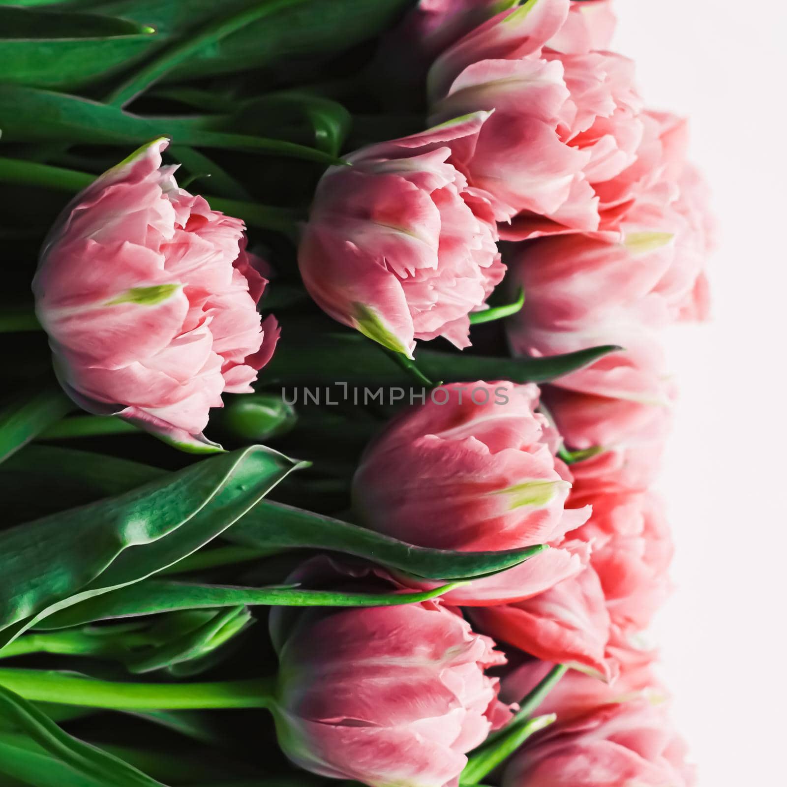 Spring flowers on marble background as holiday gift, greeting card and floral flatlay concept