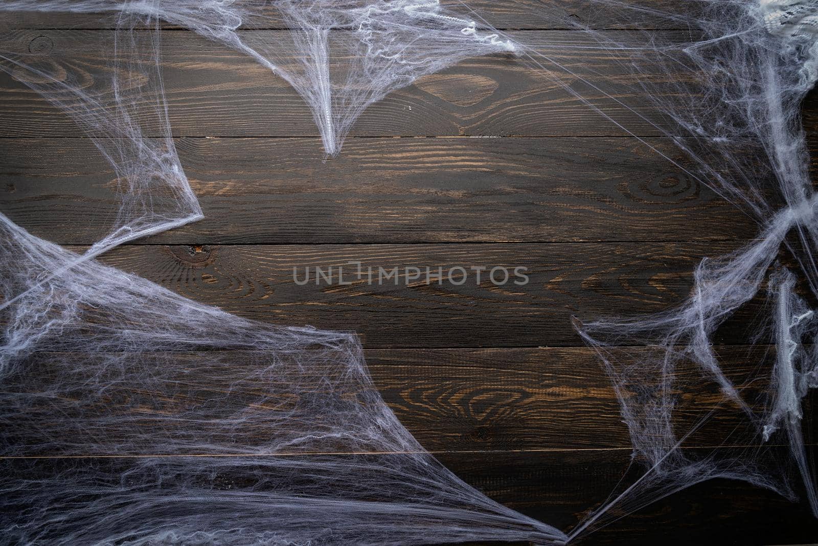 Halloween concept. Halloween holiday background with spider web on black wooden backdrop. Copy space