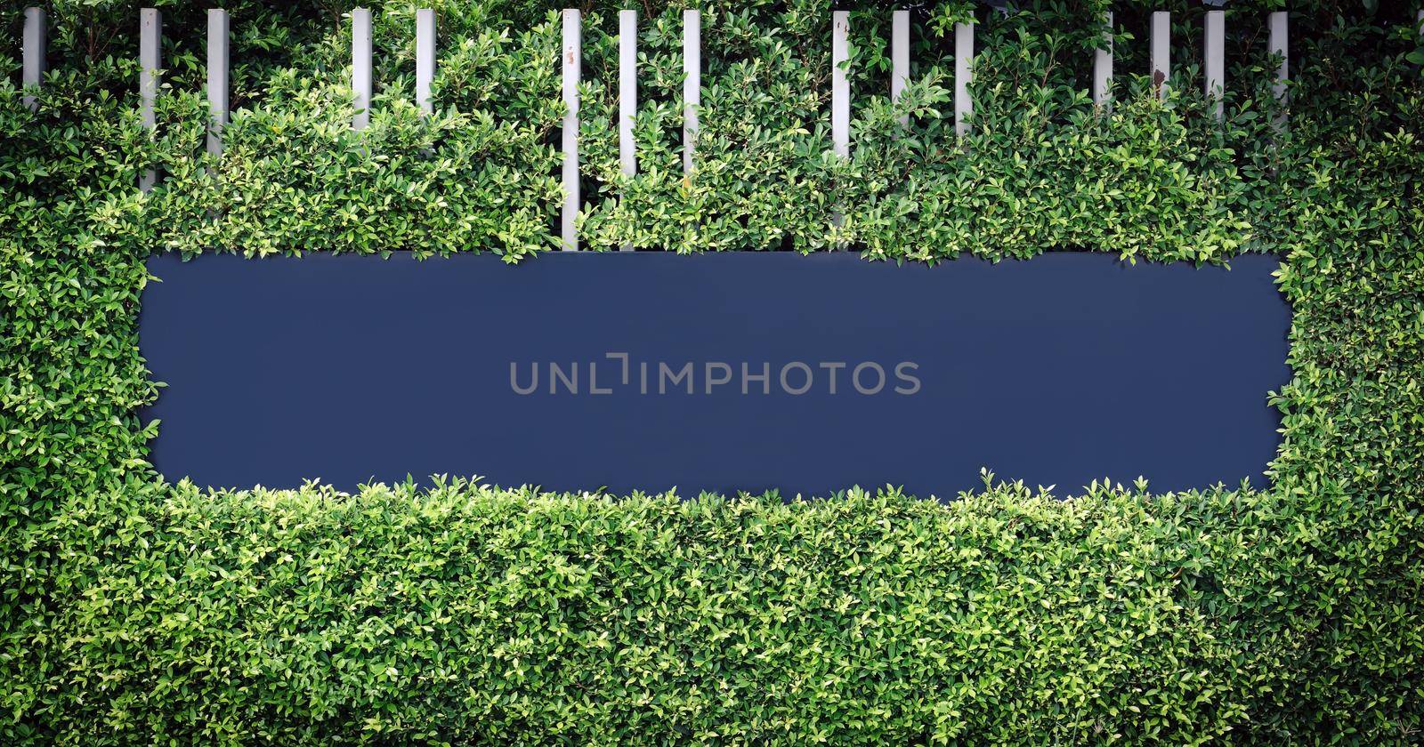 Blue blank labels for text or image logos framed by green leaves. by wattanaphob