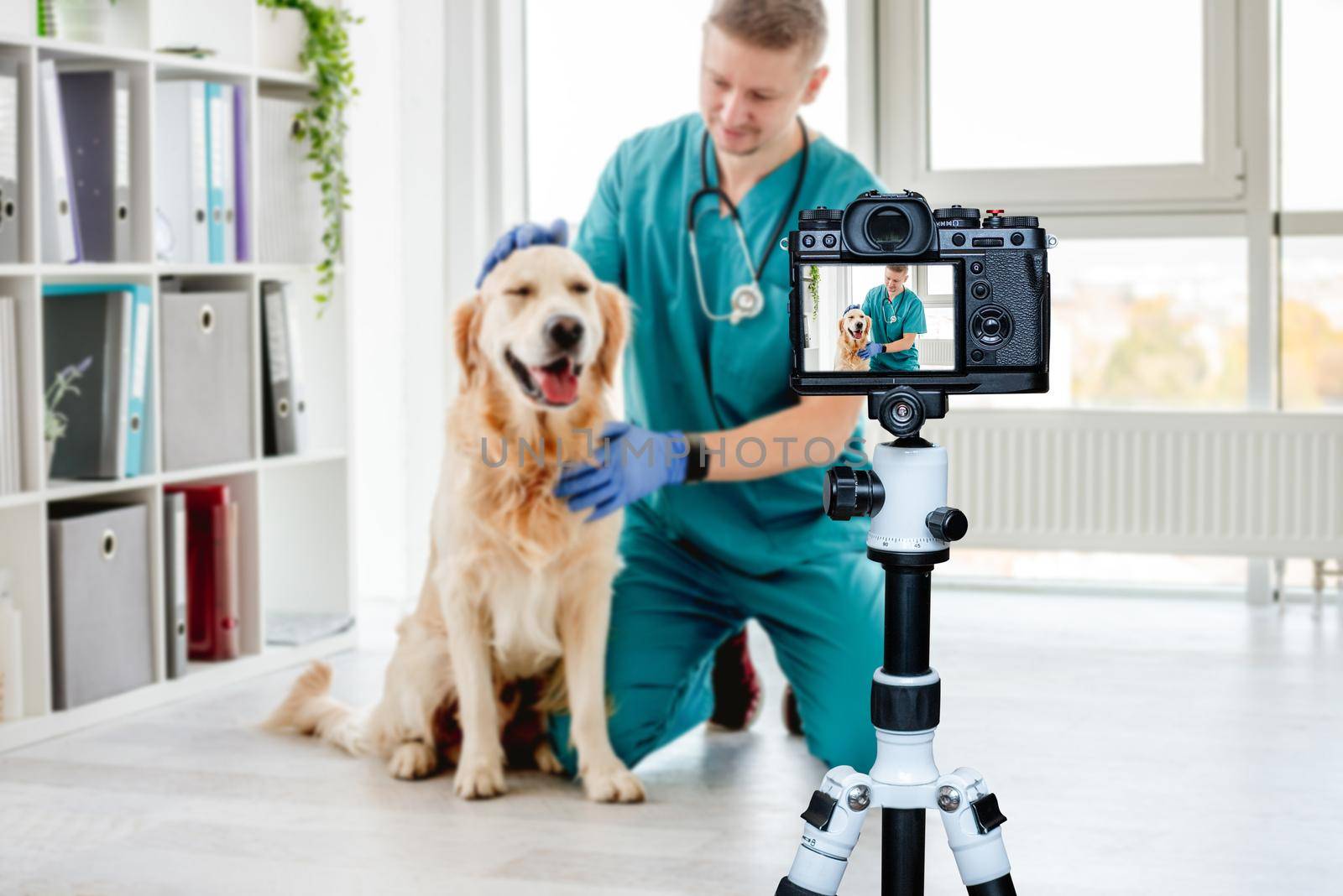 Veterinarian stroking golden retriever dog after appointment in clinic. Blogger profession. Shooting with a camera for a blog