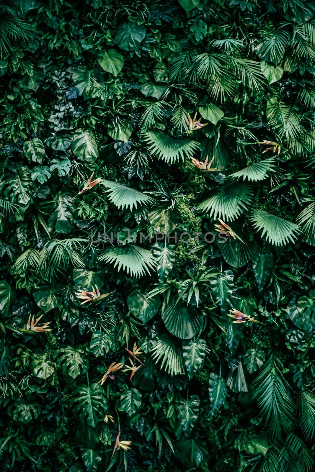 Tropical leaves as nature and environmental background, botanical garden and floral backdrop, plant growth and landscape design by Anneleven