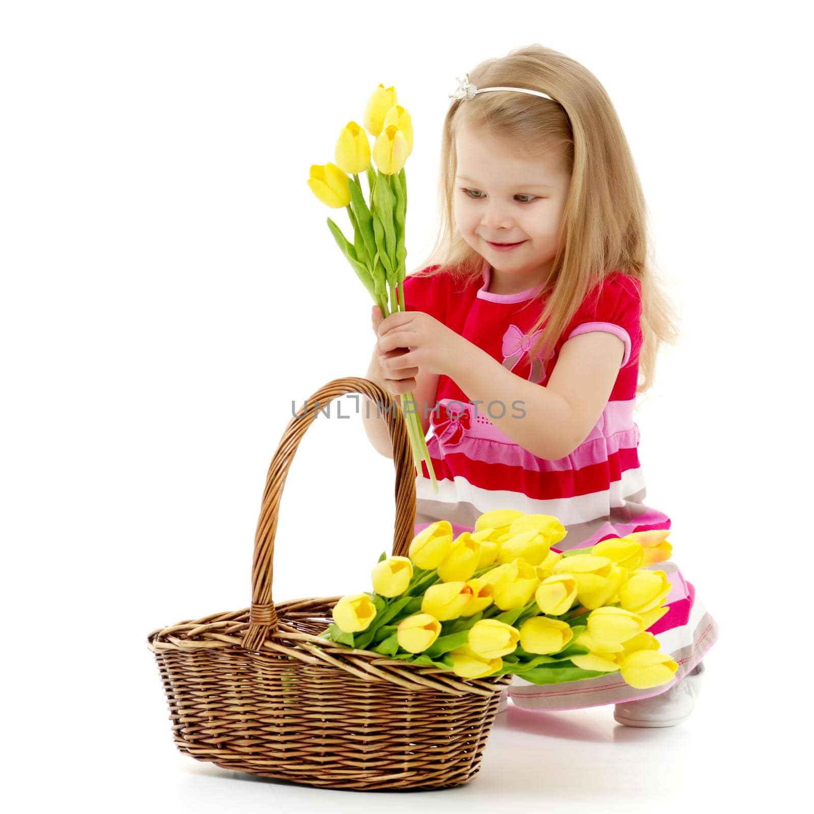A cute little girl with a bouquet of tulips, in the spring in the studio. The concept of the awakening of nature after winter, the expectation of summer.Isolated on white background.