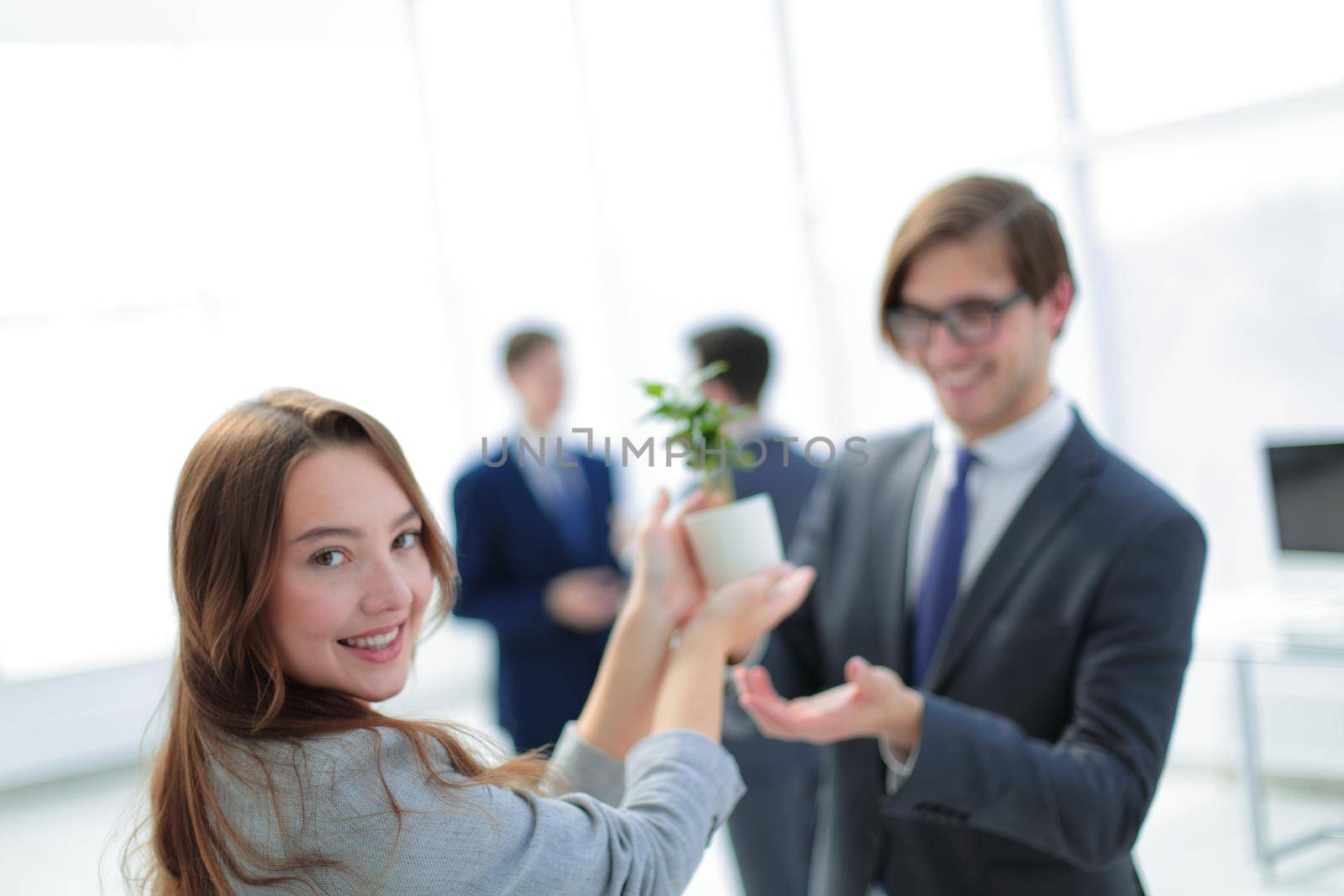 seedling in the hands of a business woman .photo with copy space