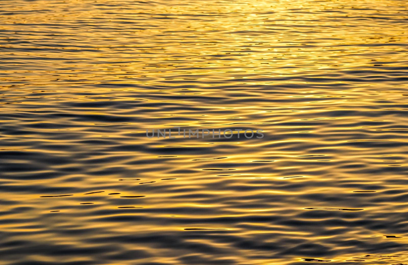 Golden sea waves in sunset glow as surface background. Summer holidays and coastal nature concept