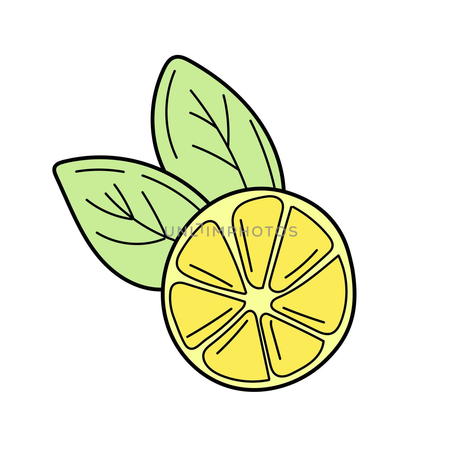 Vector hand drawn lemon. Tropical fruit. Sketch. Doodle. Summer design by natali_brill