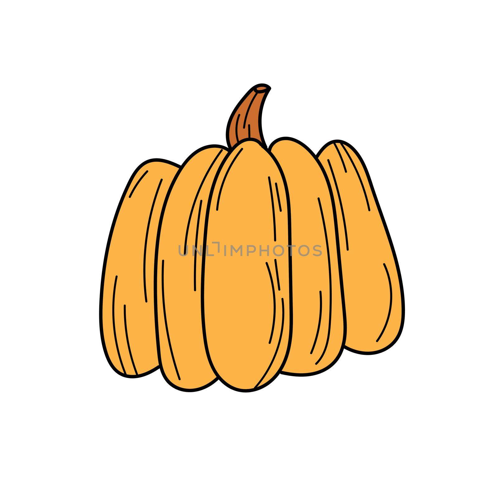 Vector hand drawn pumpkin doodle icon. Food sketch illustration for print, web, mobile and infographics isolated on white background.