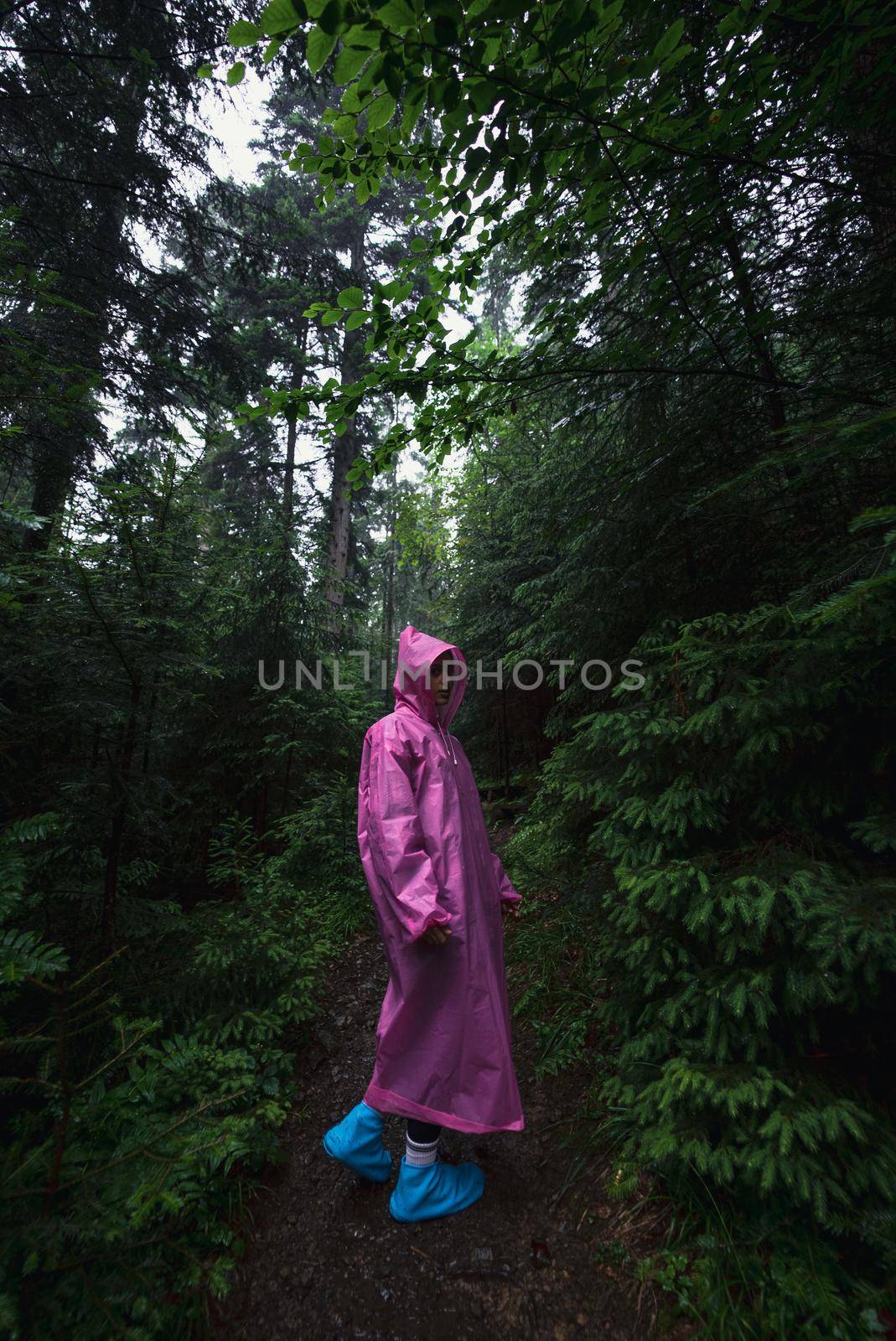 woman in raincoat walking by rainy forest