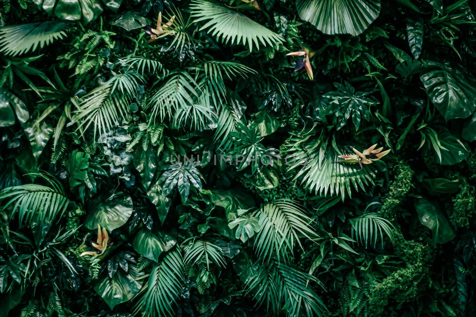 Tropical leaves as nature and environmental background, botanical garden and floral backdrop, plant growth and landscape design.