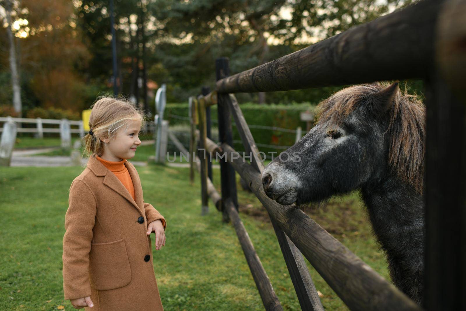 A little girl looking at a pony over the fence