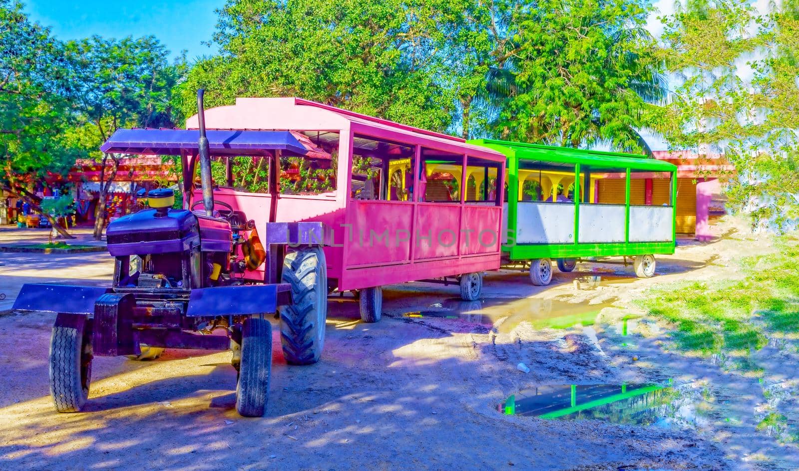 Tourist train, multi-colored cabins and a purple tractor. To the delight of tourists and their children.