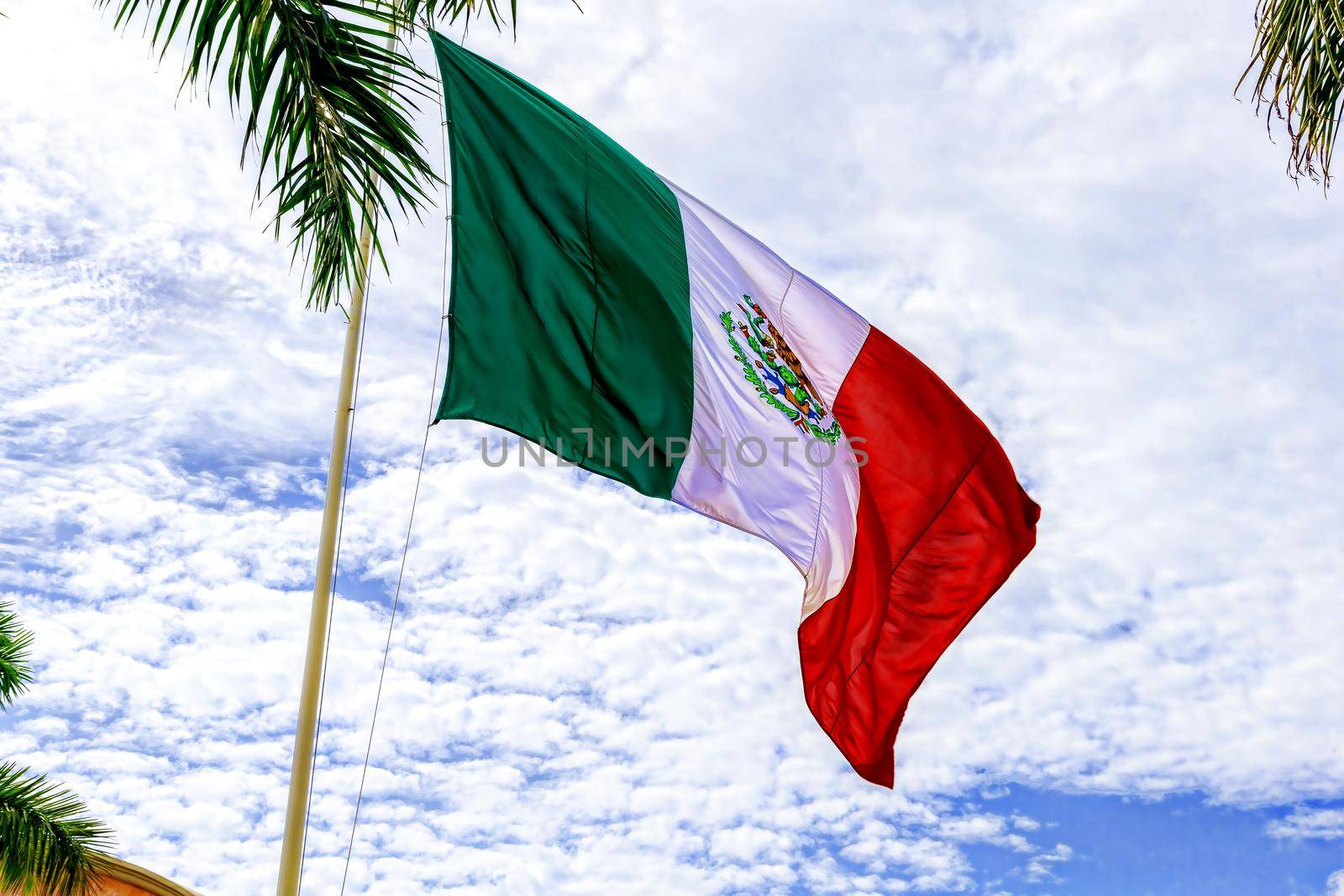 The flag of Mexico develops in the wind against a blue sky and tropical trees. United States of Mexico.