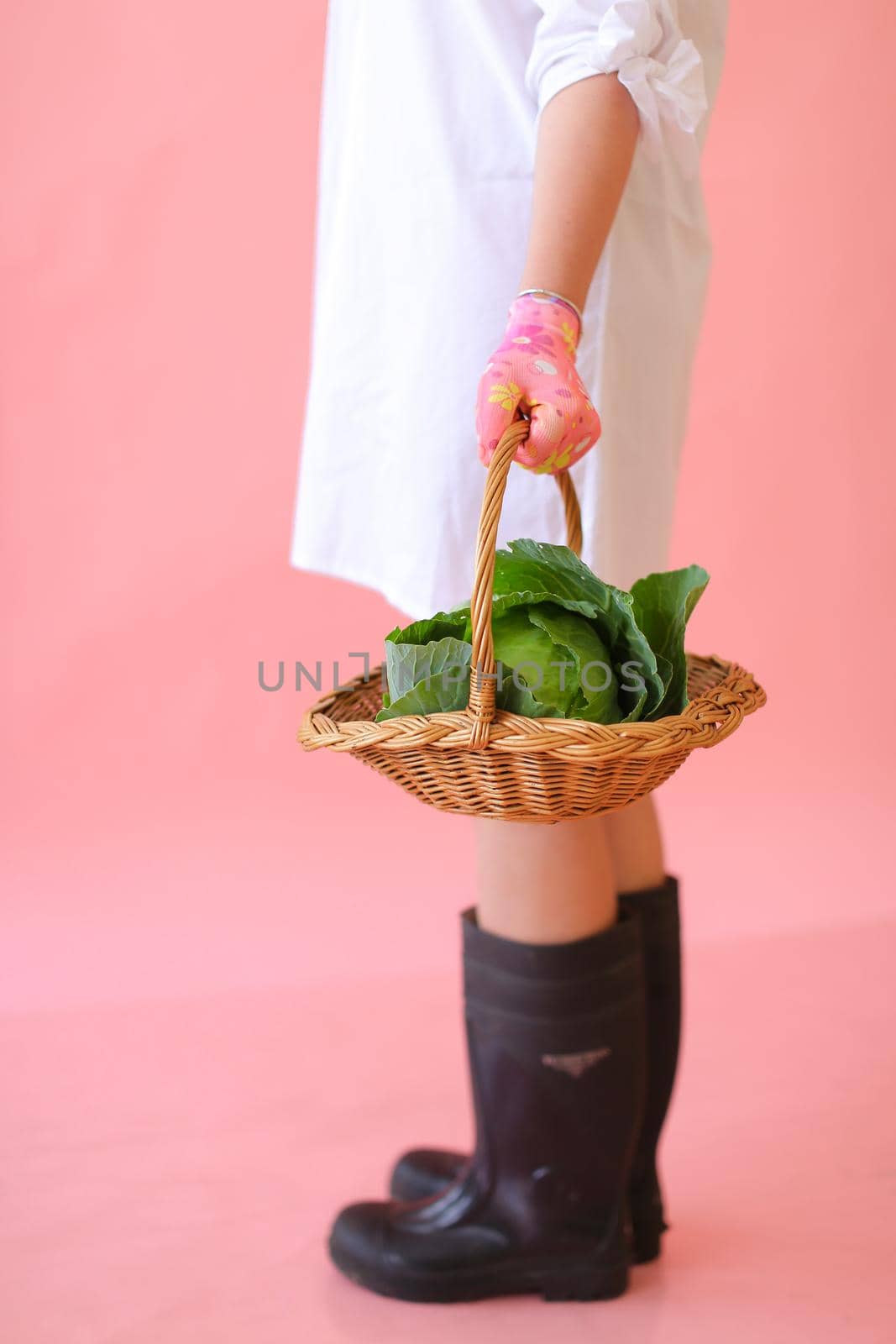 Woman keeping basket with cabbages in pink monophonc background. Concept of harvest photo session at studio.