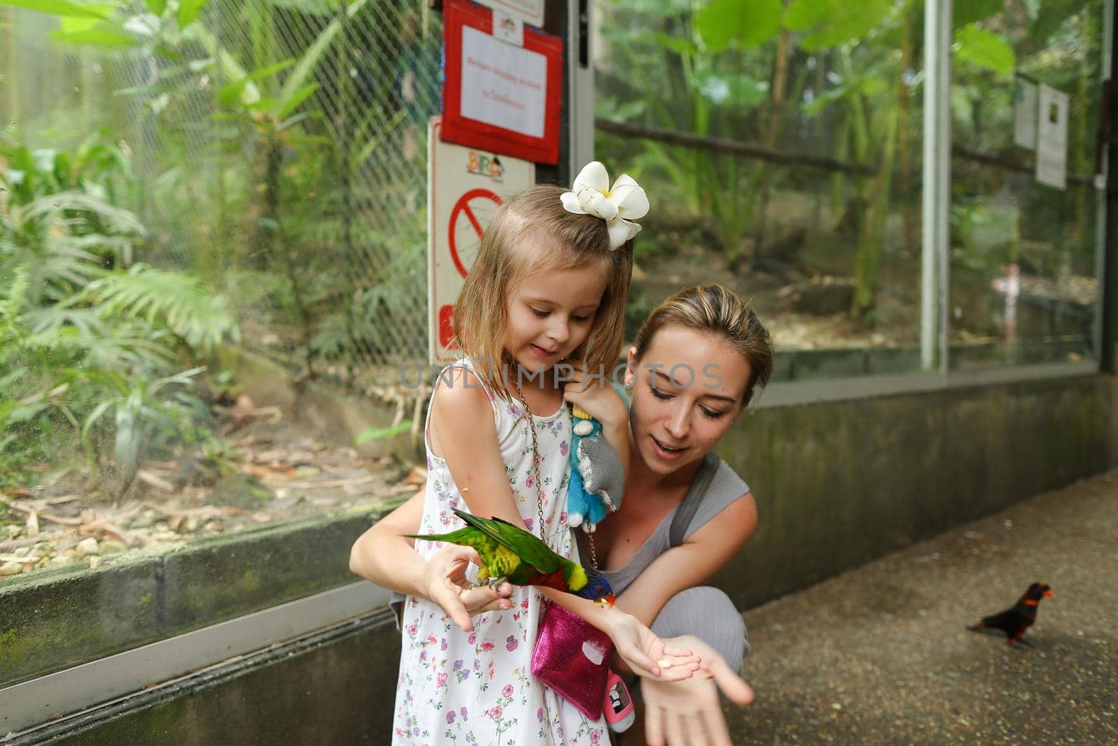 Young blonde mother and little daughter enjoying with parrots outside in Thailand. by sisterspro