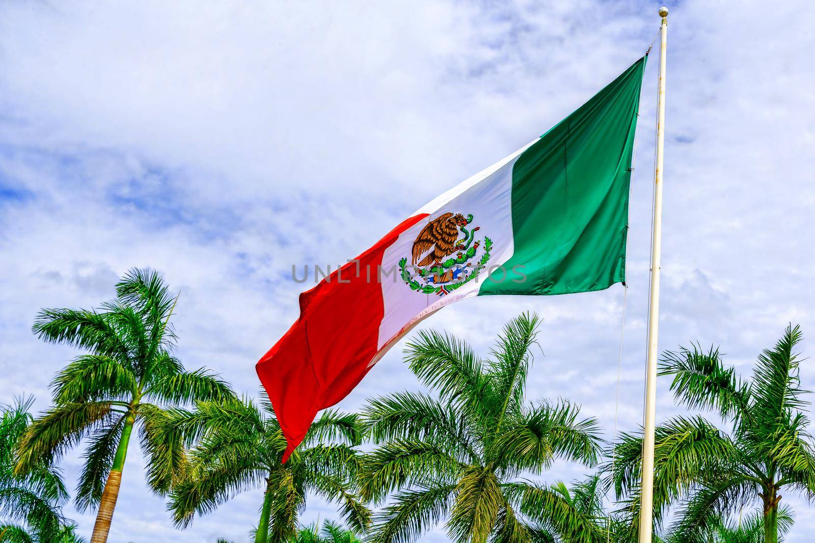 The flag of Mexico develops in the wind against a blue sky and tropical trees. United States of Mexico.