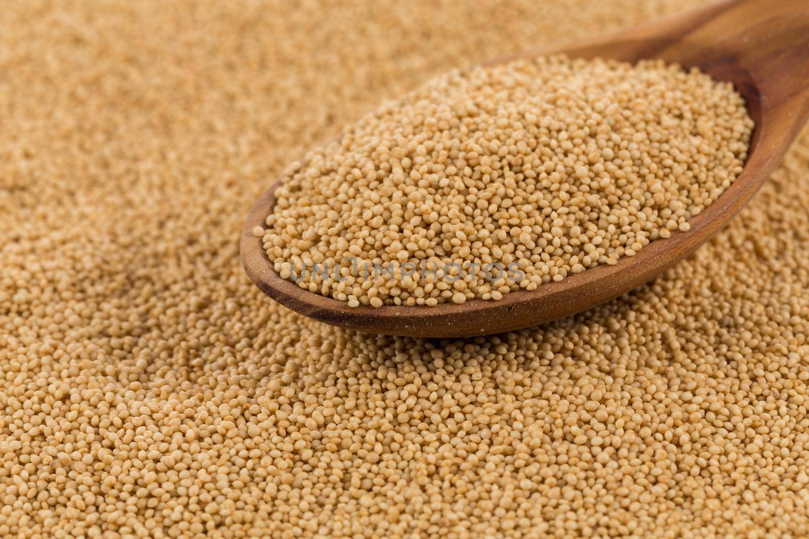 popped amaranth grain closeup as a food background texture