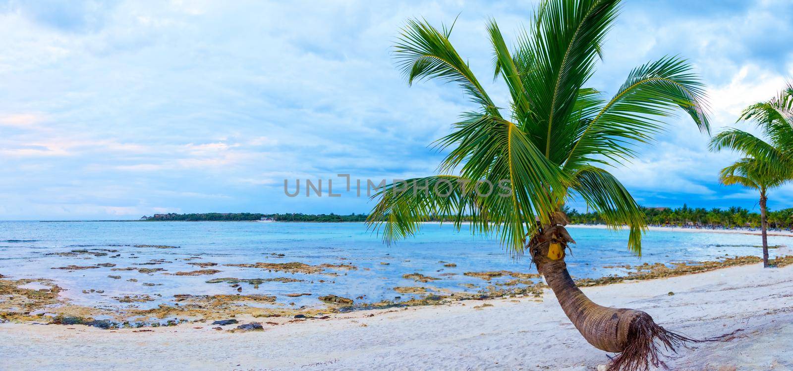 View of the turquoise ocean with a tropical beach, with green vegetation and white sand. Through the dense leaves of palm trees blue sky and sun. Summer holidays on the islands.