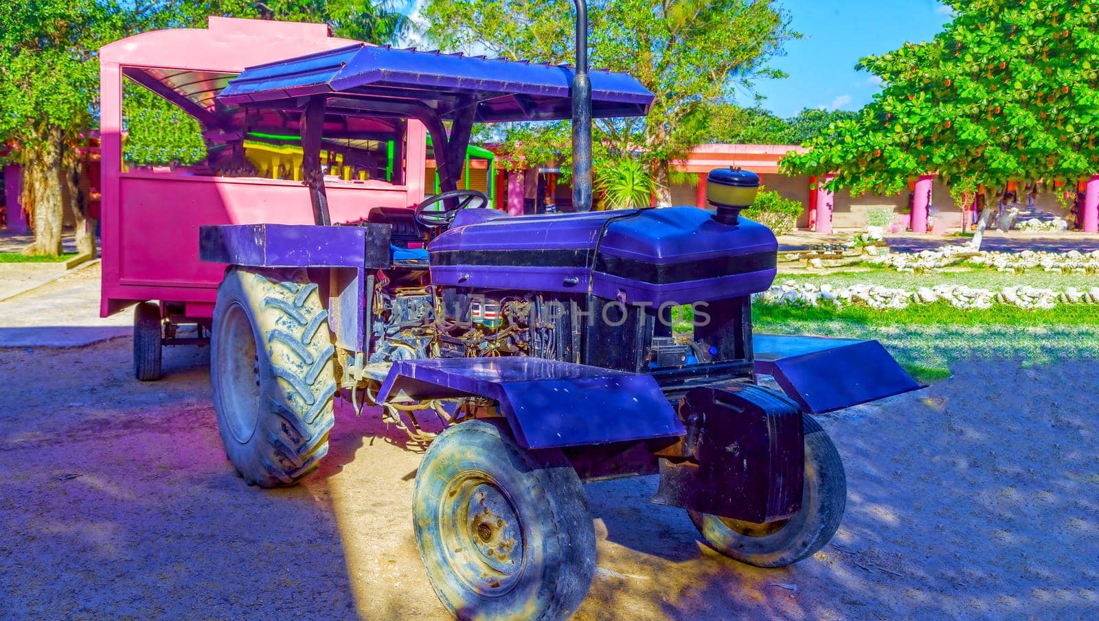 Tourist train, multi-colored cabins and a purple tractor. To the delight of tourists and their children.