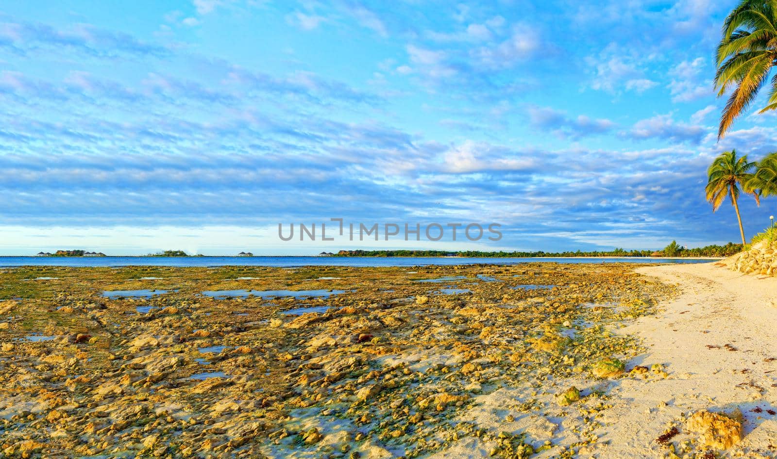 Sandy tropical beach on a hot sunny day. Panorama. Coast.