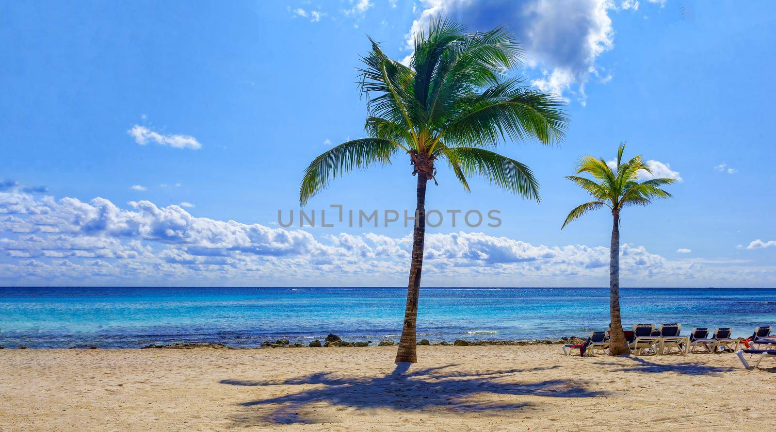 View of the turquoise ocean with a tropical beach, with green vegetation and white sand. Through the dense leaves of palm trees blue sky and sun. Summer holidays on the islands.