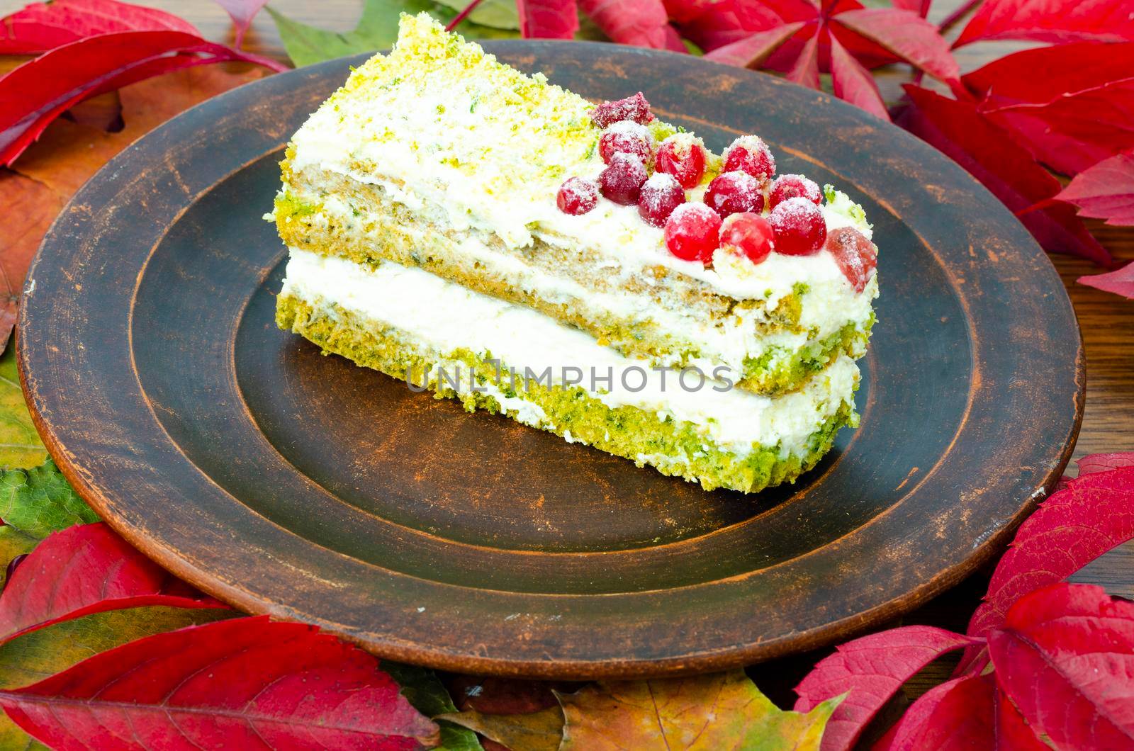 Piece of sponge cake with cream and berries on plate. Photo