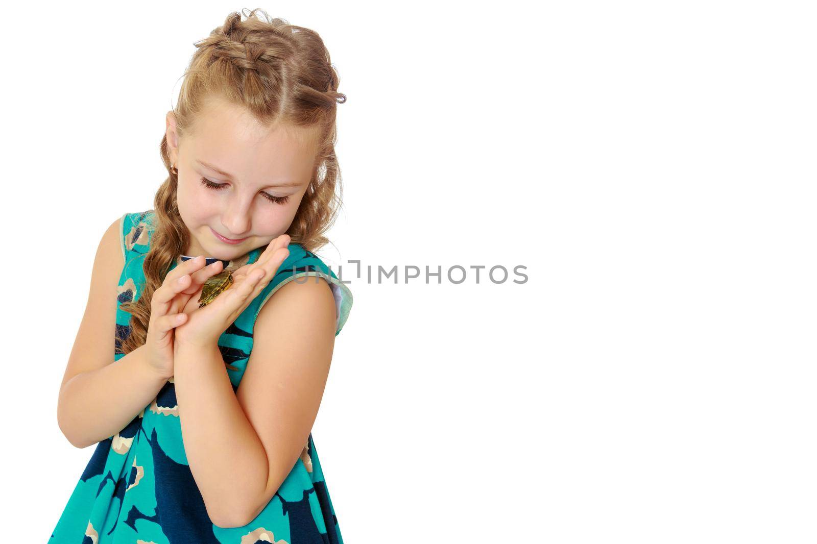 Attentive little girl looking at in the palms of a small turtle. Closeup.Isolated on white background.