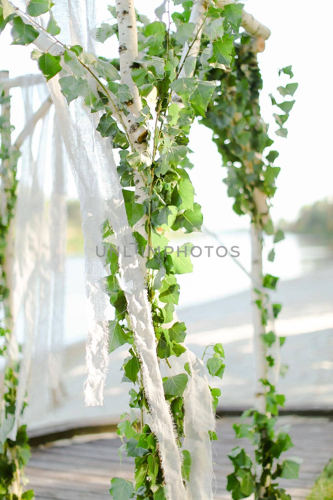Birch arch in sky background. Concept of natural decorations.