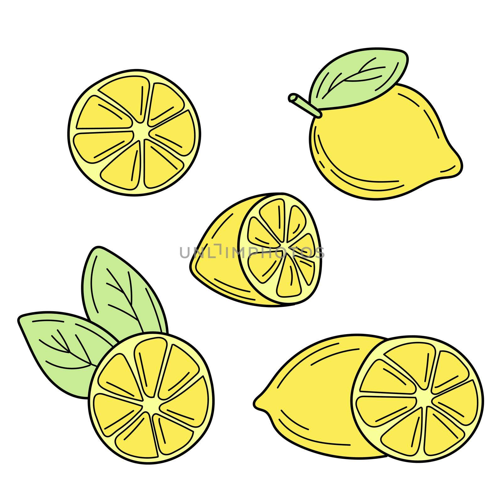 Vector hand drawn lemon. Tropical fruit. Sketch. Doodle isolated on white background. Perfect for summer design.